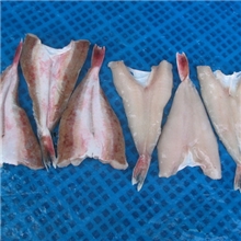 （出口）供应红头鱼片/红娘子（寻求代理）寿司材料水产品