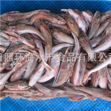 大量供应红头鱼原料（红娘子）