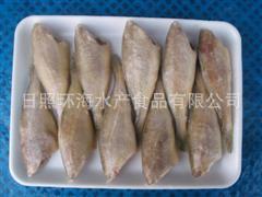 （热卖）供应去头小黄鱼/黄花鱼/croaker(寻求地区代理)