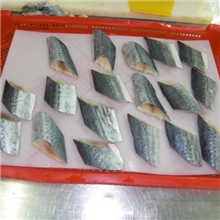 东海海鲜水产品冻品鲅鱼片鲅鱼段马鲛鱼鱼片马鲛鱼段