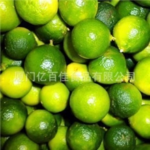 厦门新鲜水果海南青金桔冰桔茶金桔柠檬茶小青橘绿皮小金橘