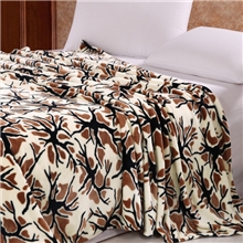 厂家直销床单批发法兰绒毯法兰绒毯子超柔加厚珊瑚绒毯