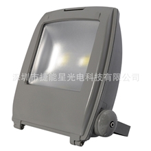 &供应双光源投光灯100W投光灯100Wled背包灯ip65企鹅灯100W