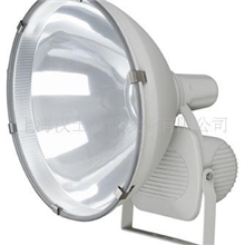 泛光灯ZY-2043(1000W)