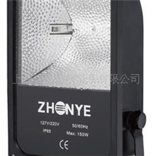 泛光灯ZY-2007(70W~150W)