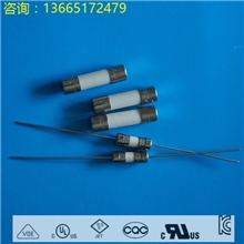 保护器件玻璃保险丝/环保保险丝管电流保险丝管