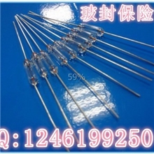 【企业集采】厂家直销全玻璃保险管节能灯保险管3*10玻封保险