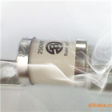 供应波斯曼保险管