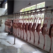 供应ZDZS系列雁鹅宰杀生产线,自动肉鹅屠宰设备/优质家禽屠宰设备