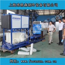 弗格森小型日产1吨直冷式块冰机-淡水食用高品质冰块-冷藏冷冻