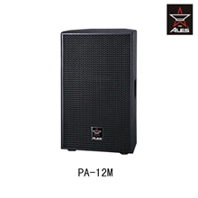 供应ALES音箱批发2路单12"音响器材舞台音箱PA-12M