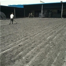 新上最先进烘干石墨生产线