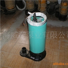 专业供应立式污水杂质泵WQ潜水式污水泵切割排污泵搅匀污水泵