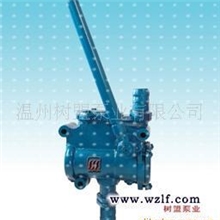 供应手摇泵,SH型(图)