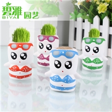 草头娃娃批发迷你桌面植物青草种植正品地摊奇特（淘气妞）