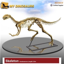 【恐龙】盐都龙仿真恐龙化石骨架【主题公园、博物馆、展览】