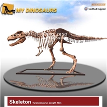 【龙晨时代】霸王龙10m恐龙化石骨架【博物馆、科普展览、商场】