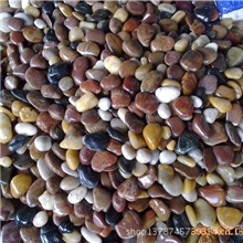 供应五彩石高抛特级雨花石园林景观鹅卵石铺地垫底水池黑白黄红粒