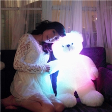 工厂直销发光趴趴熊趴趴狗泰迪熊发光抱枕送女友创意礼物