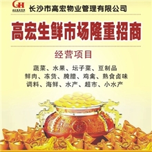 双面彩色铜板纸印刷宣传彩页