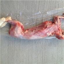 供应新鲜冷冻兔肉