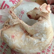 带皮兔肉供饭店|批发兔肉|供应水烫褪毛带皮兔肉【烫兔】