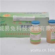 兔用疫苗华宏大肠杆菌