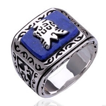 吸血鬼戒指吸血鬼日记jeremy杰里米复活戒指elena朋克宝石戒指