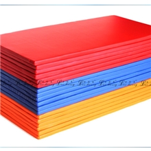 体操垫子跳舞垫舞蹈垫健身运动瑜伽垫子仰卧起坐垫子亲子园地垫