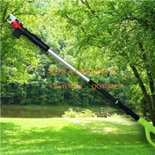 出口电动高枝剪高空枝剪电剪