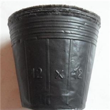 营养钵批发营养钵加厚营养盆营养杯育苗盆育苗杯穴盆穴盘