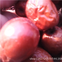 沧州红枣，产地直销，合作社种植，连锁商超大库存