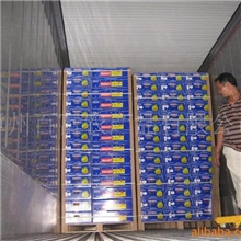 漳州平和蜜柚出售--【欧盟】【中东】等