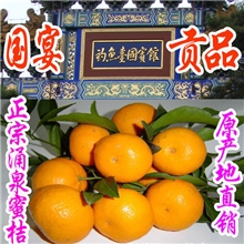 中桔批发蜜桔正宗临海涌泉蜜桔橘子早熟宫川无核桔子全网最低价