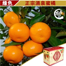 【农鼎记】正宗临海蜜桔小橘涌泉蜜桔有机水果5公斤起卖