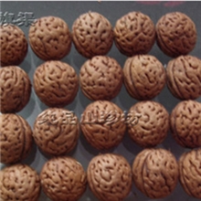 山桃核原料山桃核近脑纹桃核雕刻佛珠手串原料