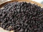无核黑枣、优质黑枣零售中，1公斤起邮