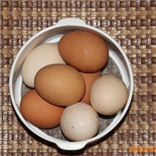 真正有机（食品安全最高级别）鸡蛋