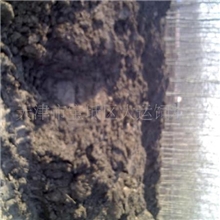 长期供应草坪绿化专用肥料天然生物有机肥料