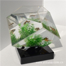 鱼缸透明完胜亚克力迷你鱼缸乌龟缸钻石心形金鱼缸小型水族箱