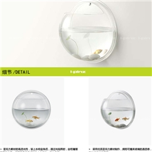 生活年华小型壁挂悬挂圆形亚克力鱼缸迷你生态水族箱