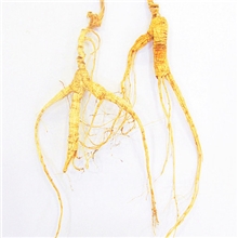 移山参山参15~20年特价6元/支