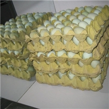 绿壳鸡蛋：纯粮喂养，山林散放的黑羽绿壳蛋鸡所产，国家保护品种