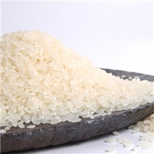 供应/预售/优质大米/吉农丰大米/粳米香米软米