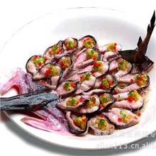 供应鸭嘴鱼（鸭子鱼）