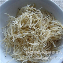 供应银鱼干(干银鱼）