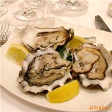 供应纯净冰岛生蚝