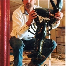 大量供应加拿大波士顿龙虾波龙