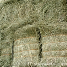 优质青干草，赶快储备了