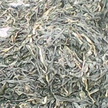 生物饲料直销；海藻；海参鲍鱼饲料